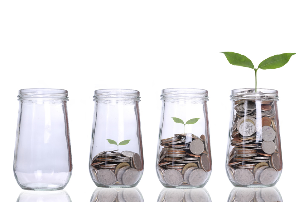 metode de a economisi