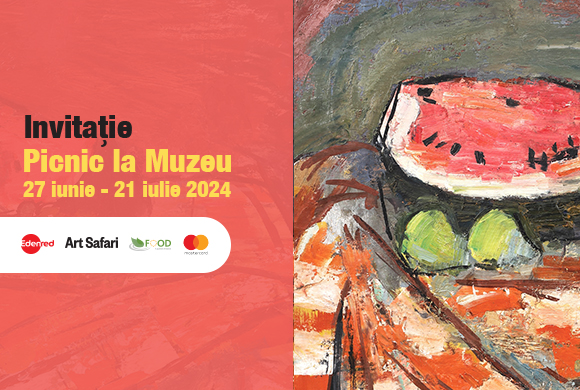 expozitia picnic la muzeu